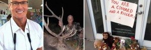 Walter-palmer-dentiste-lion-cecil-819x270