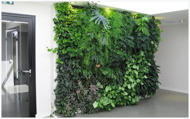 mur-vegetal-realisation-neogarden