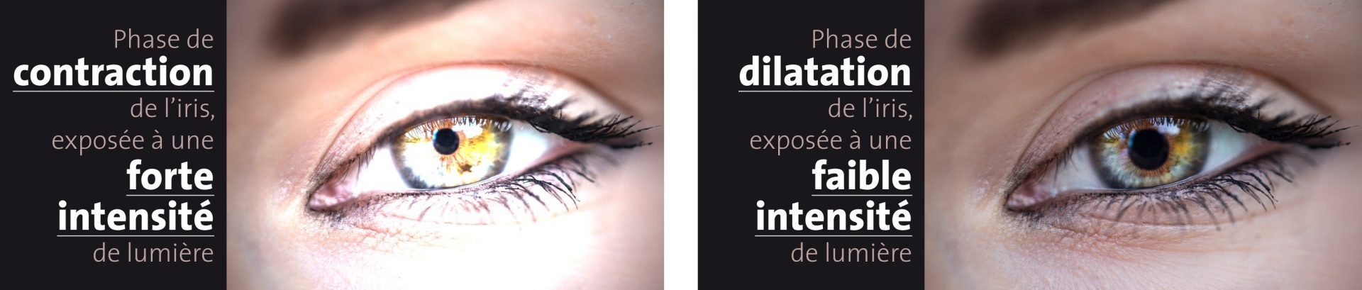alya-theia-tech-faro-mecanisme-oeil